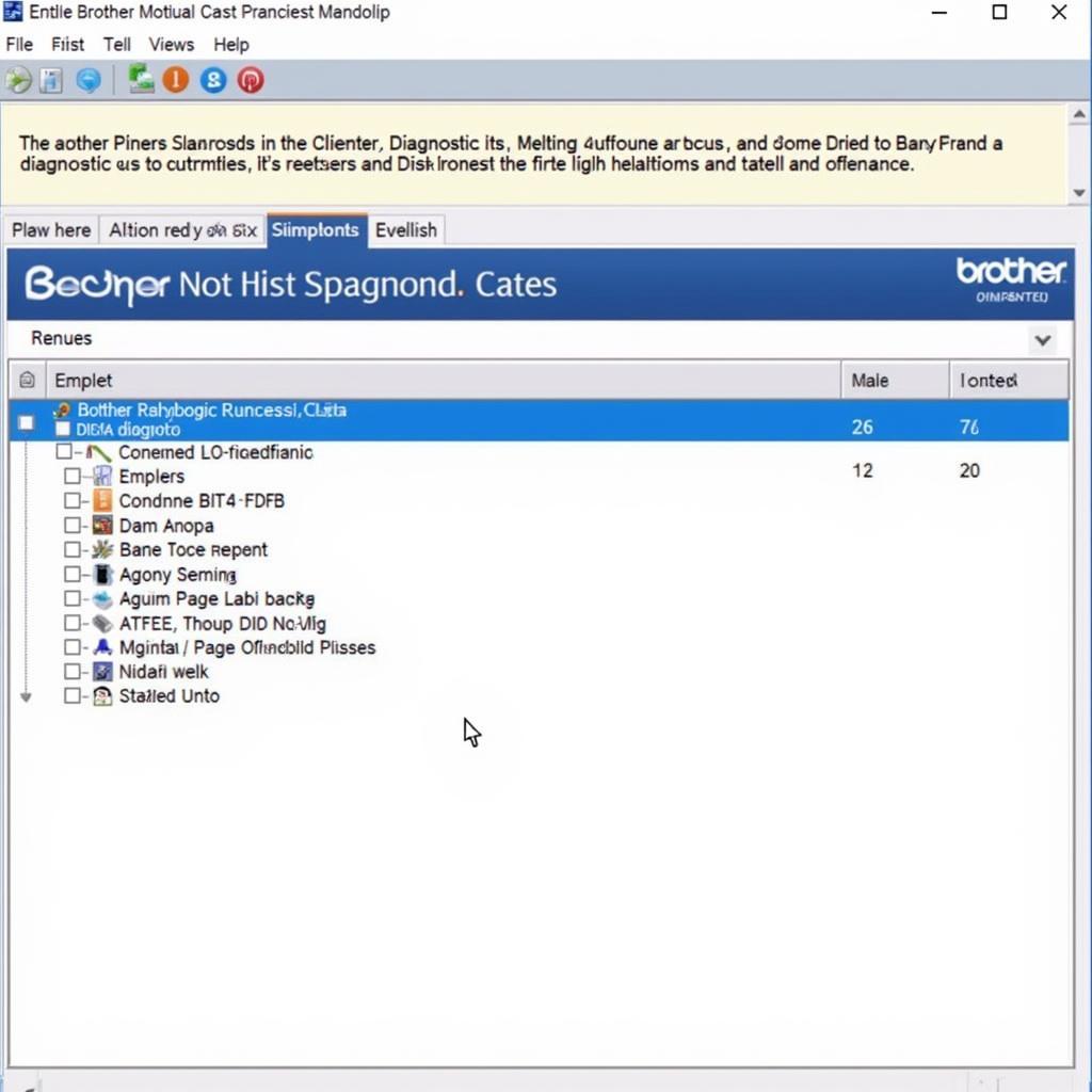 Brother Network Diagnostic Tool Interface