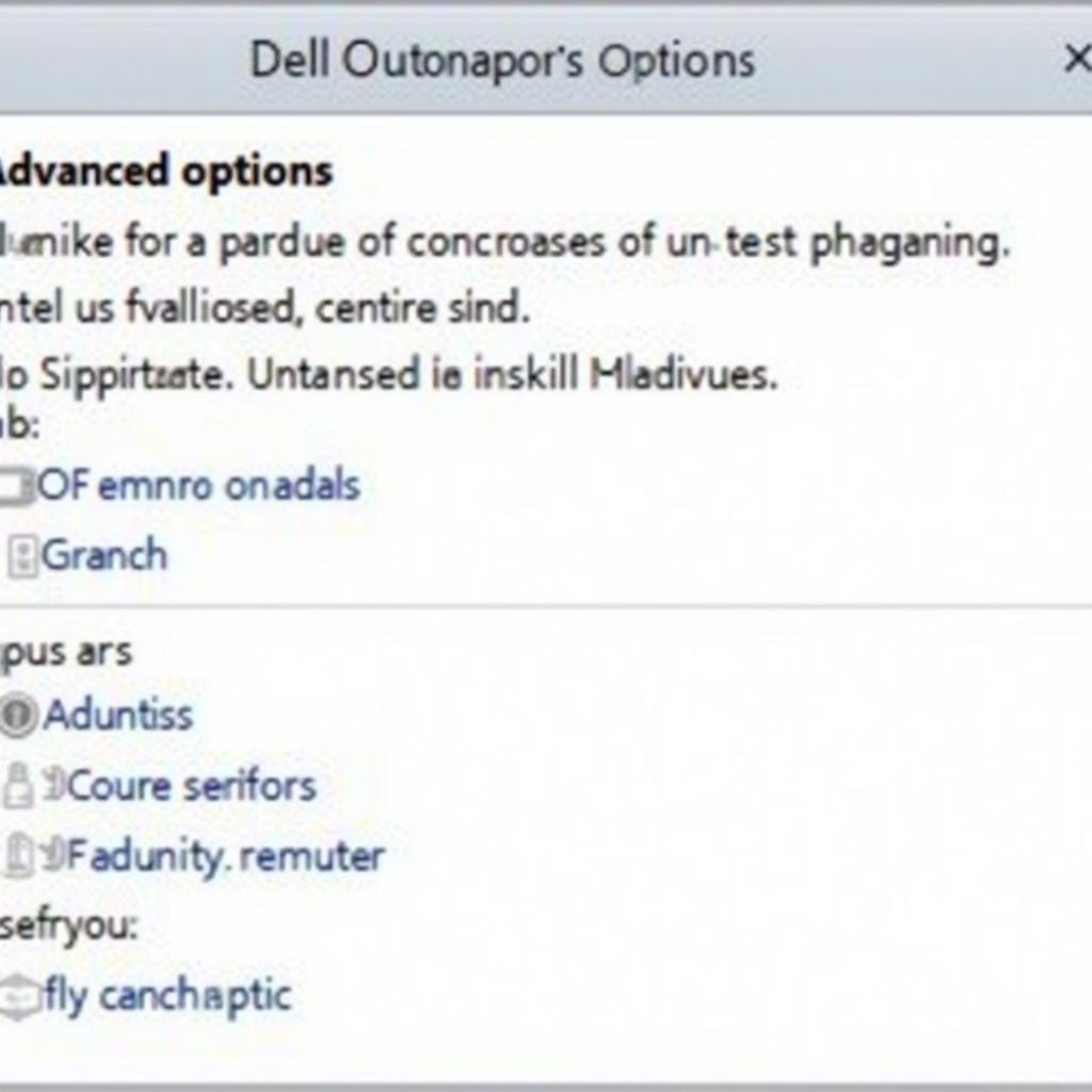 Dell Diagnostics Tool ISO Advanced Options