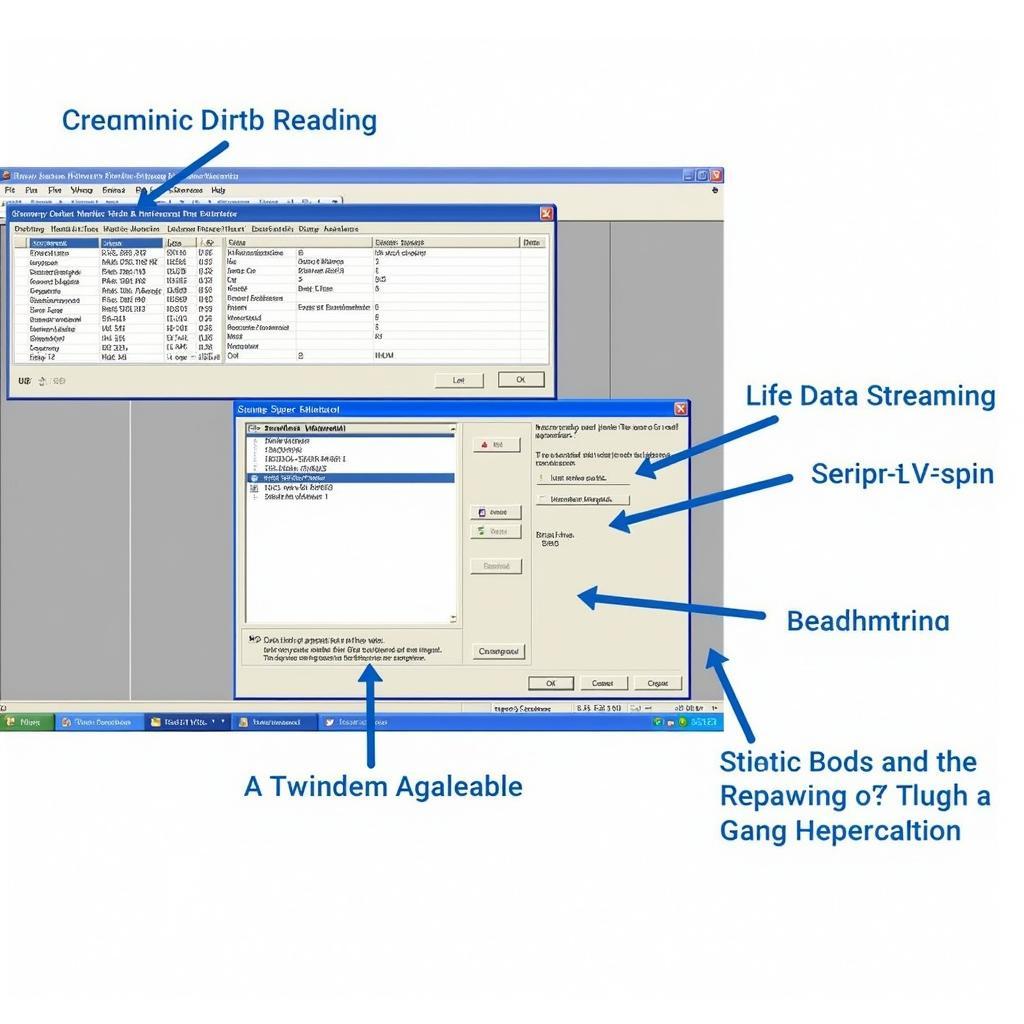 Delphi SV34000 Software Interface