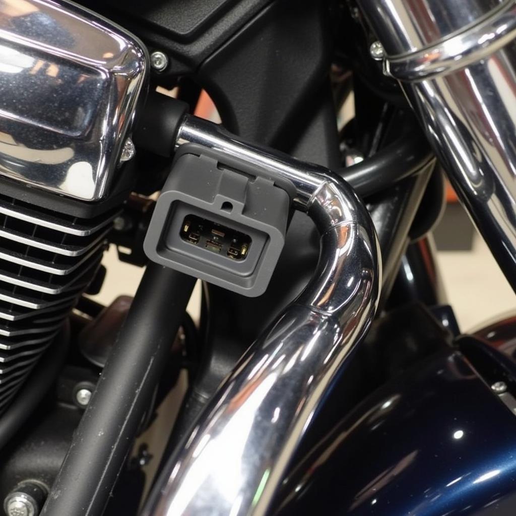 Locating the Diagnostic Port on a 2000 Harley Road King