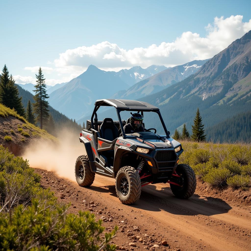 Polaris RZR on an Off-Road Trail