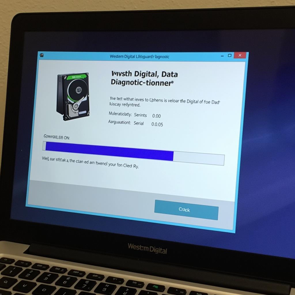 Western Digital Diagnostic Tool Running