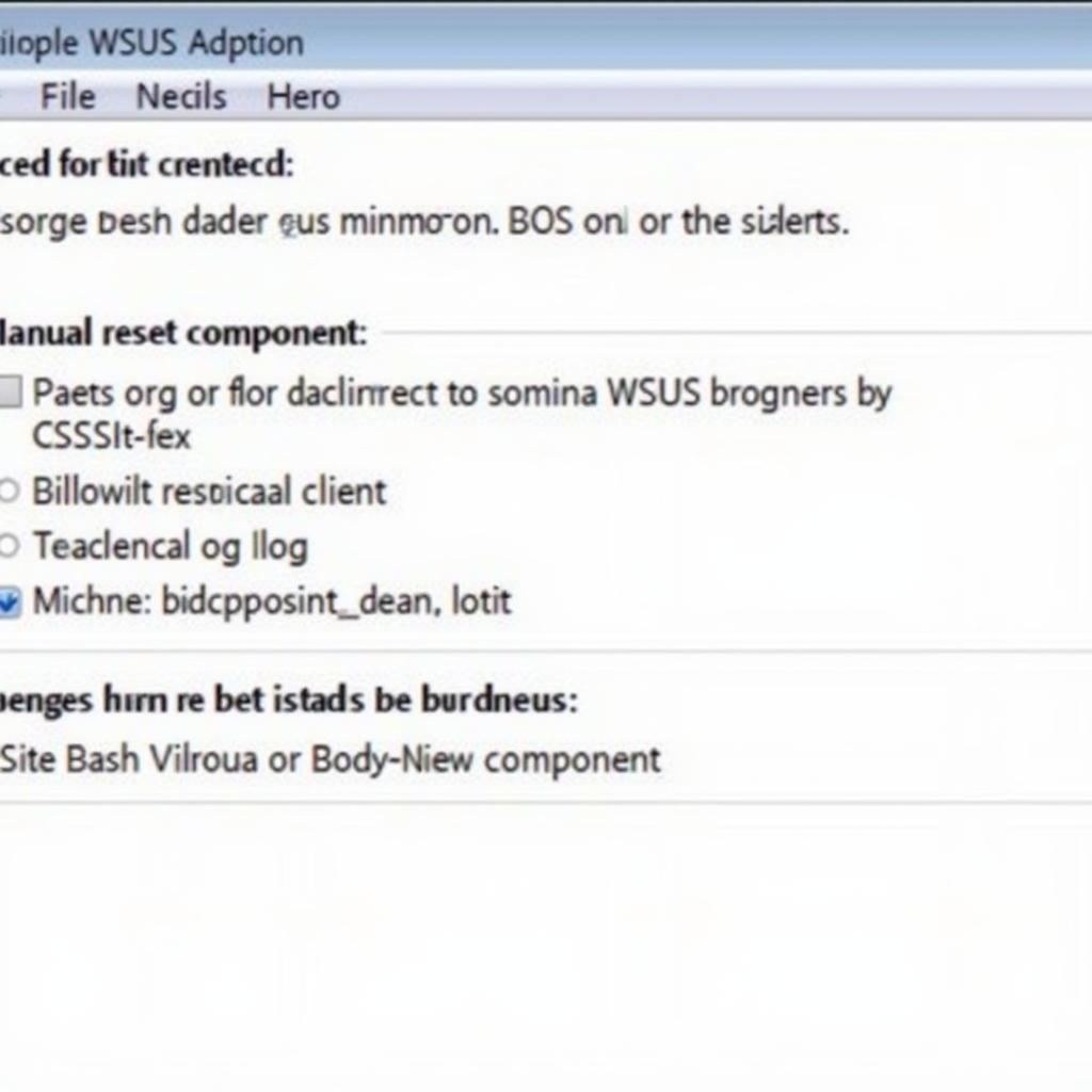 WSUS Client Diagnostic Tool Advanced Options