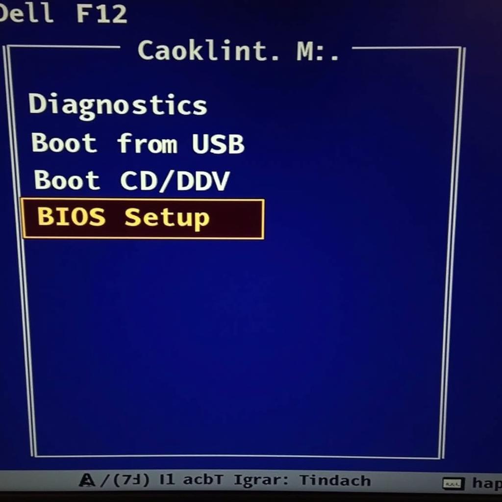 Dell F12 Boot Menu Options