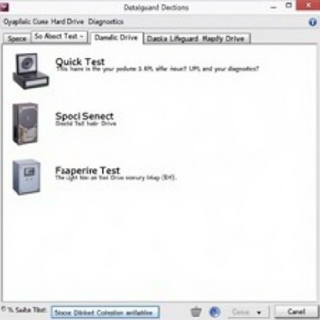 Data Lifeguard Diagnostic Test Screen