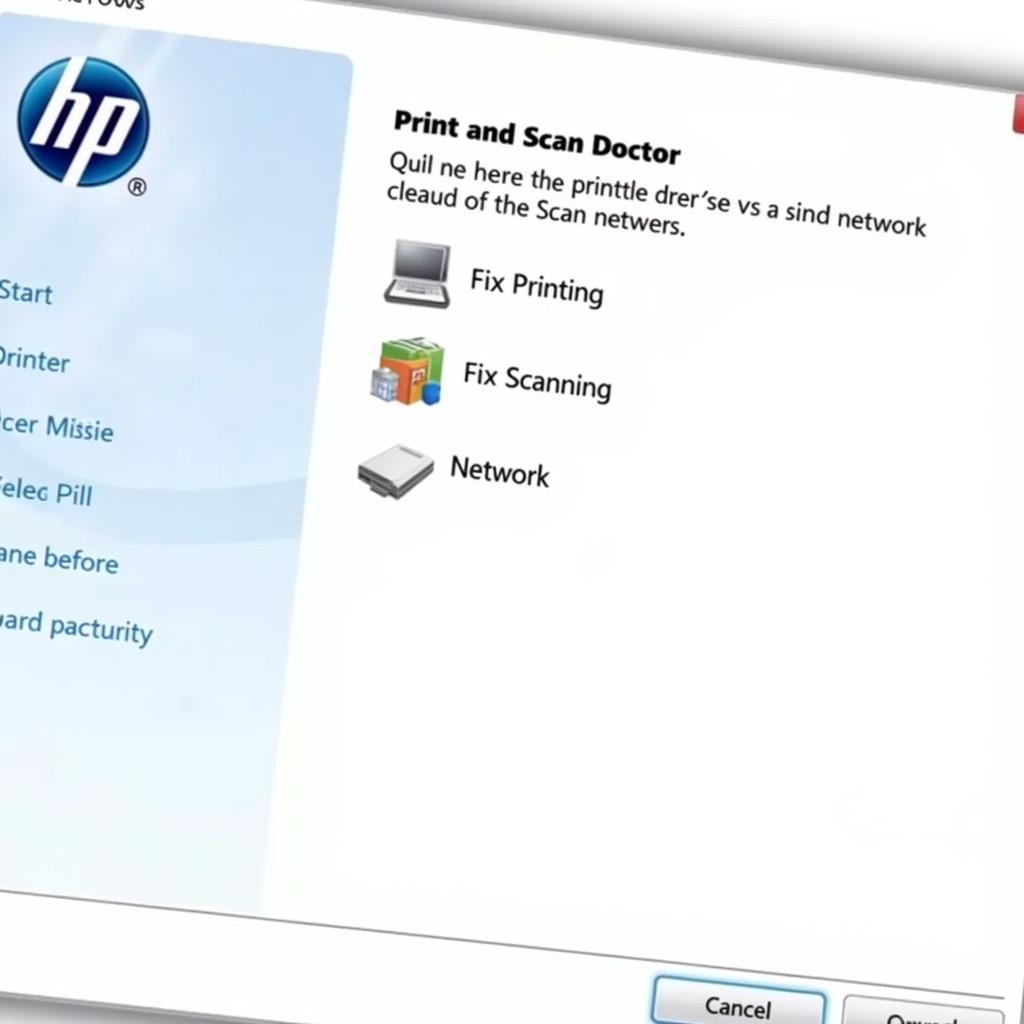 HP Print and Scan Doctor Interface