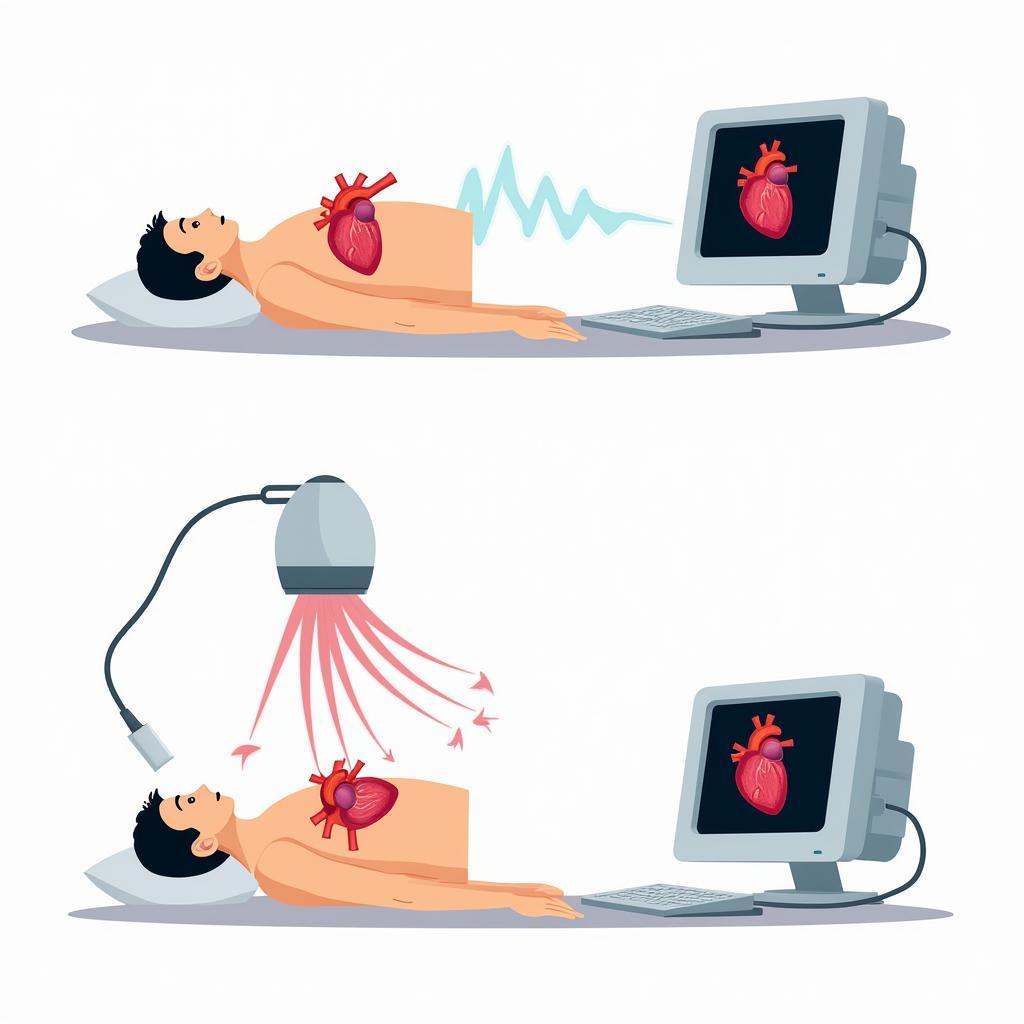 Echocardiography Process