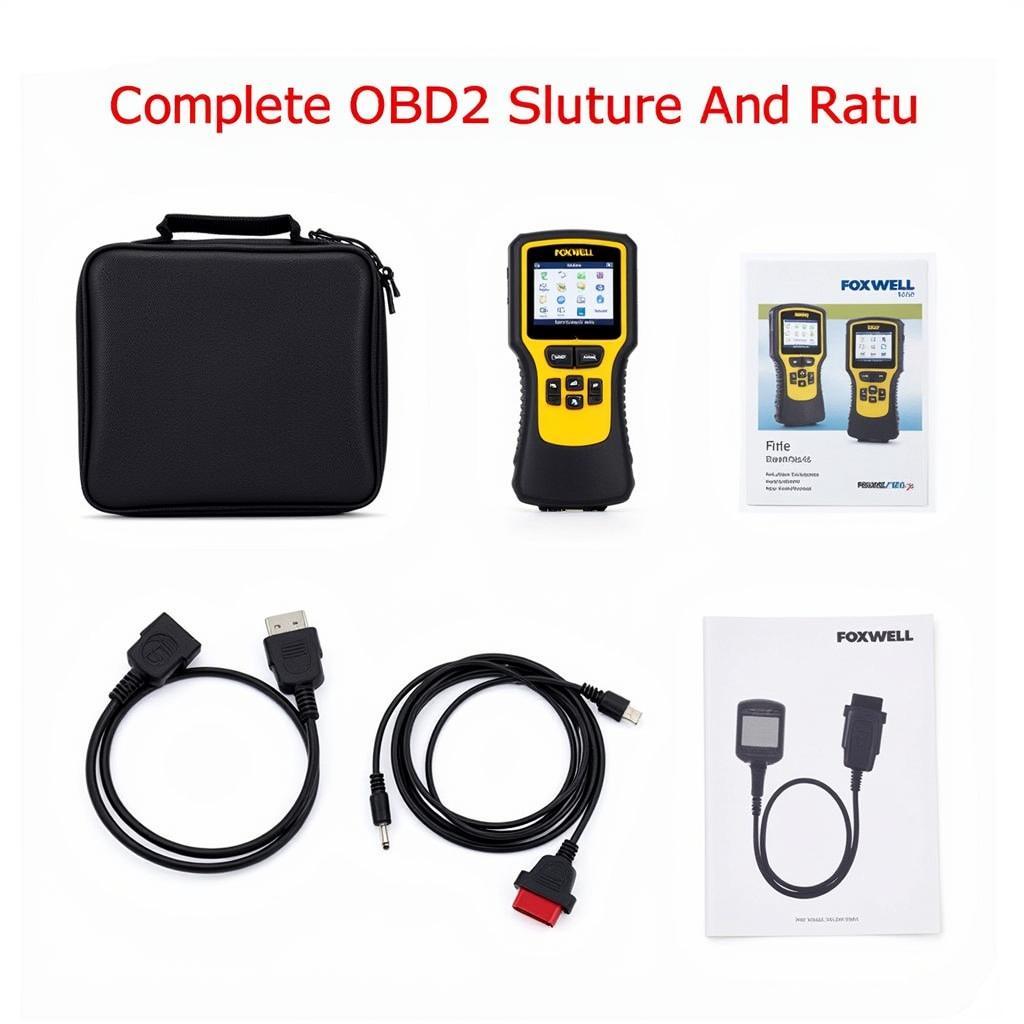 Foxwell NT301 OBD2 Code Scanner Package