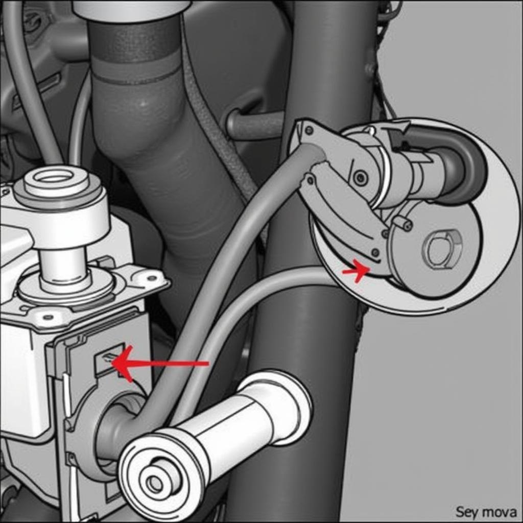 Toyota Speed Sensor Location