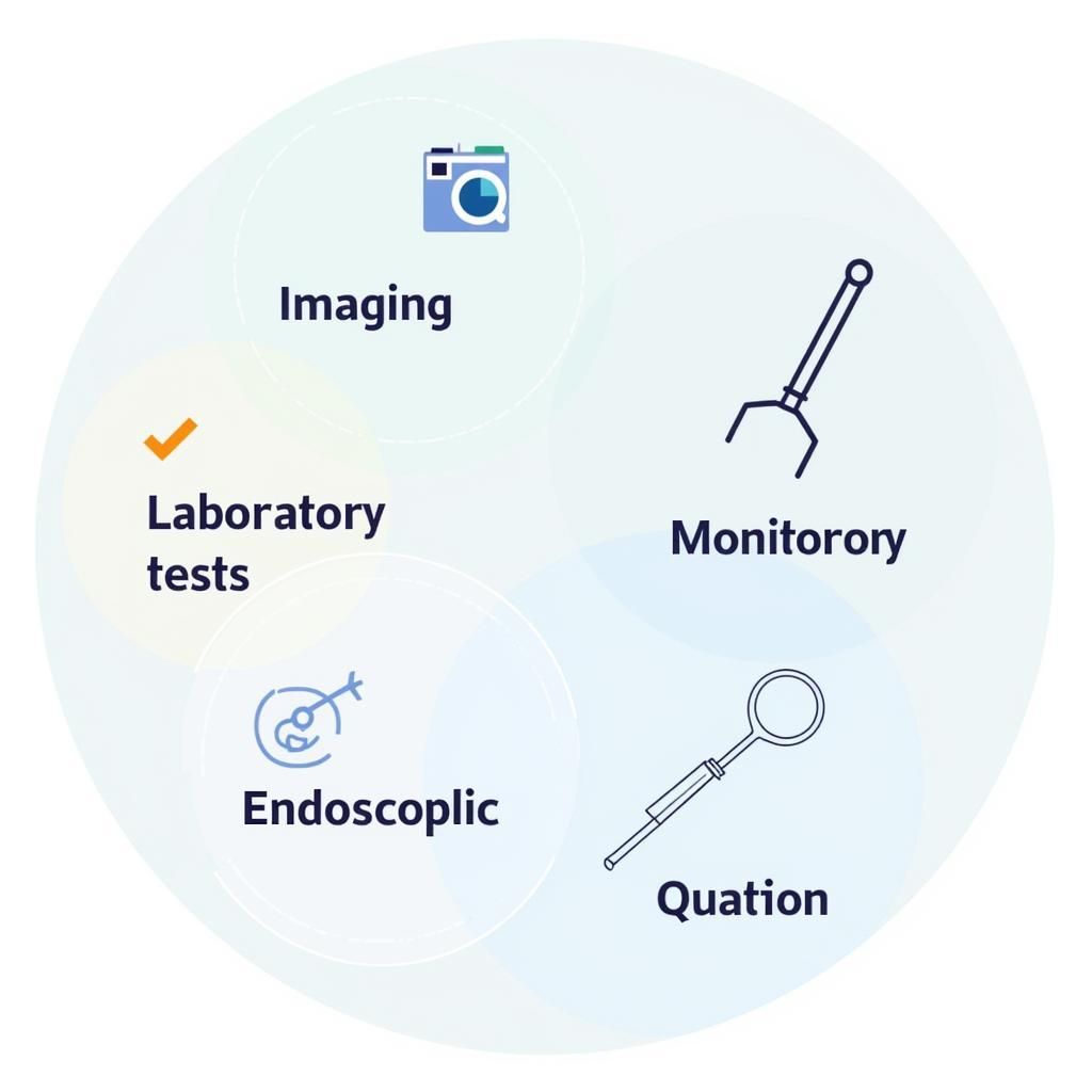 Categories of Medical Diagnostic Tools