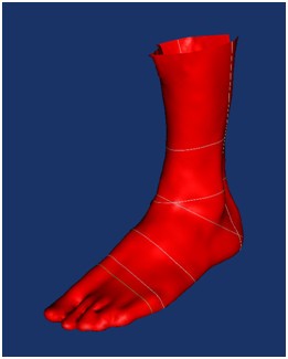 Figure 1: Example of a 3D foot scanner